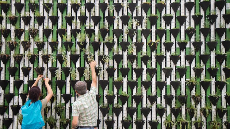 people planting in wall installation of planters