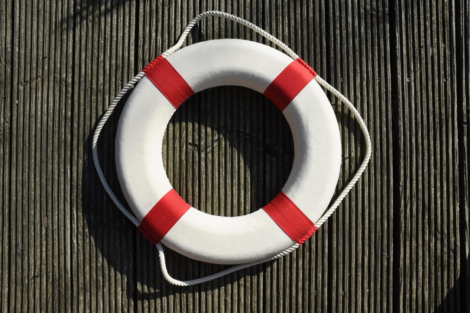 life preserver