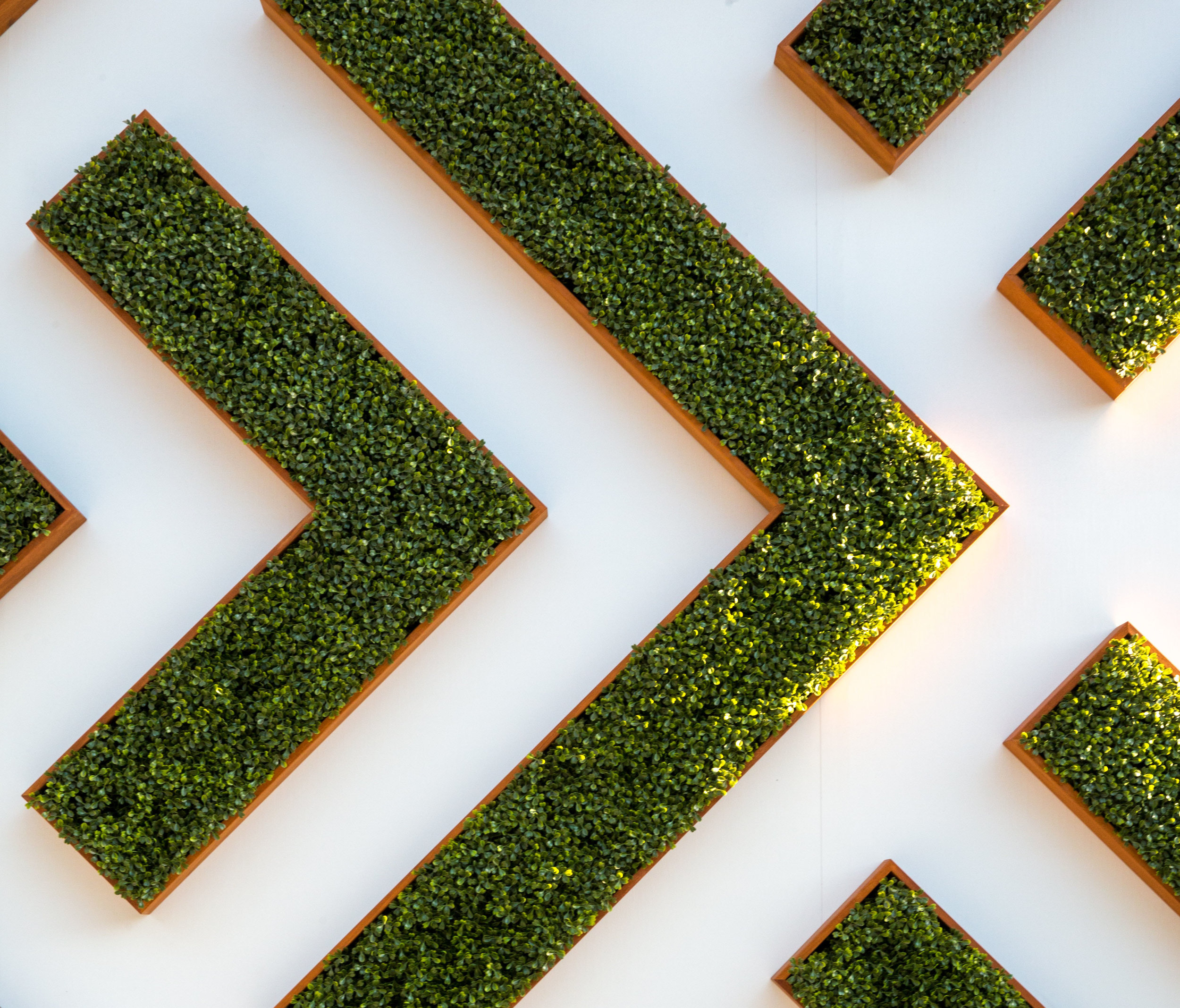photo of planters from above in and arrow pattern