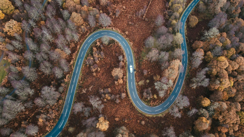 aerial shot of winding road in the woods