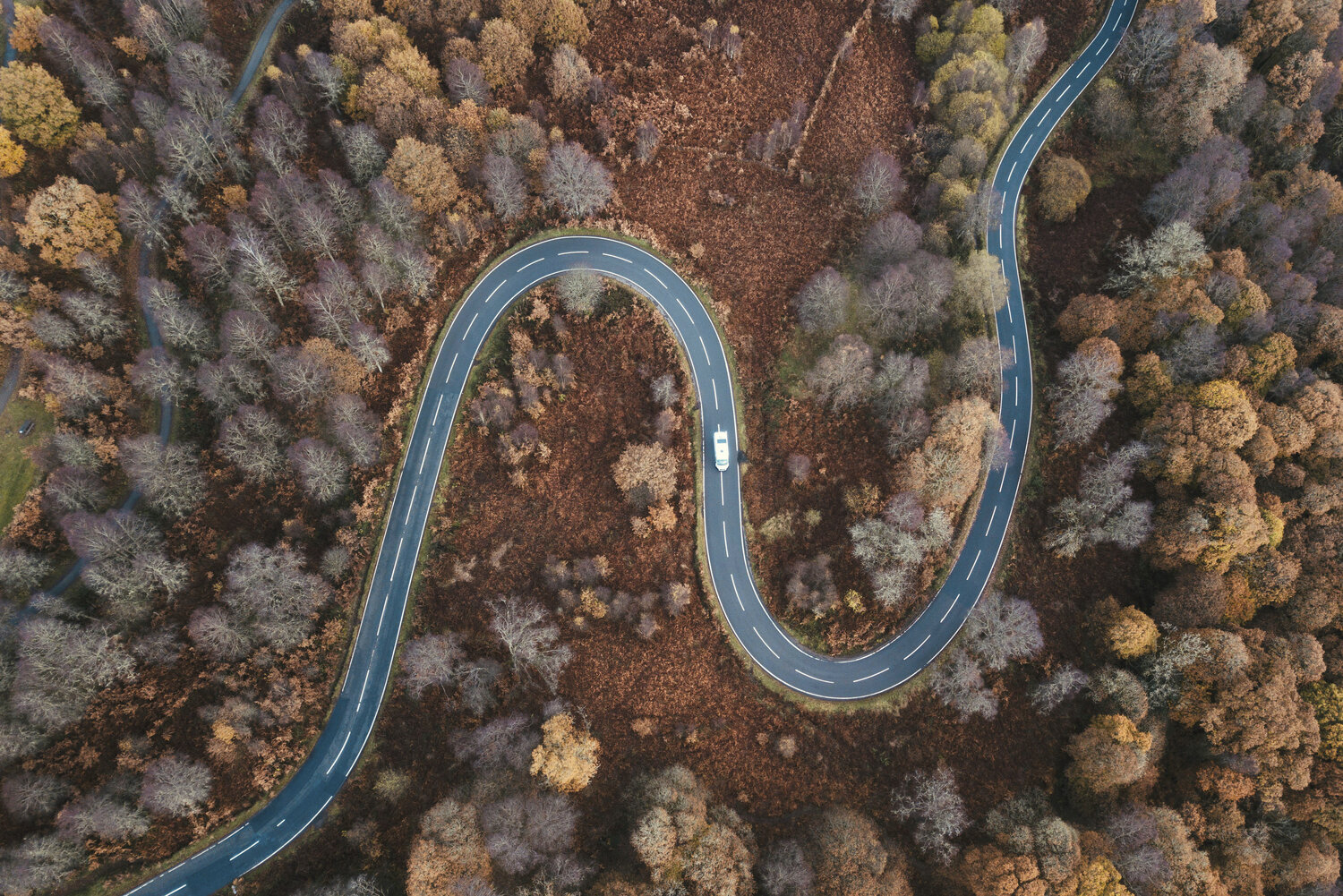 aerial shot of winding road in the woods