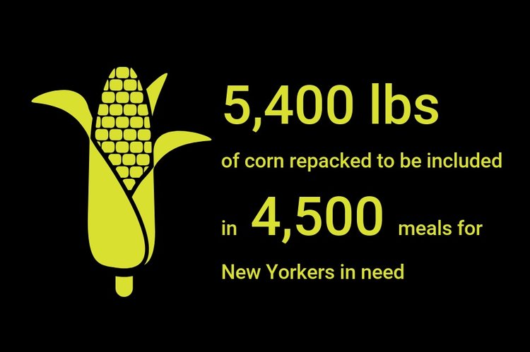 5400 lbs of corn repacked to be included in 4,500 meals for New Yorkers in need