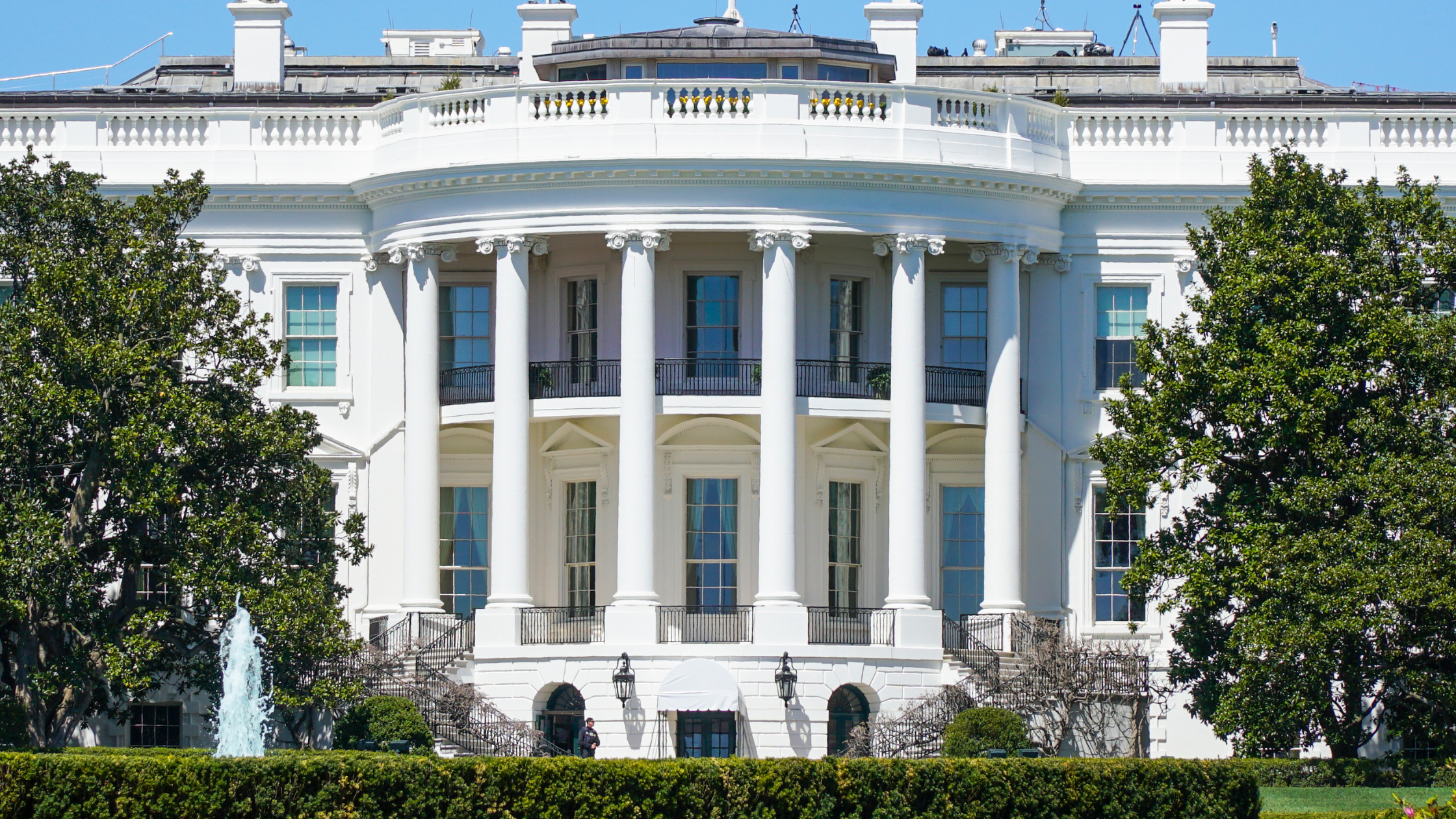 the white house