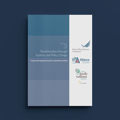 Transformation through Systems and Policy Change document