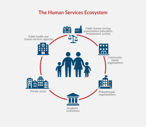The Human Services Ecosystem Infographic